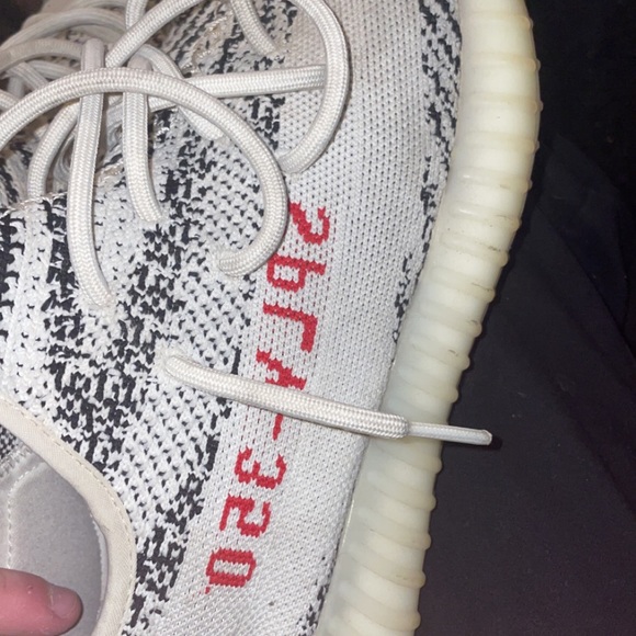 zebras - Picture 4 of 4